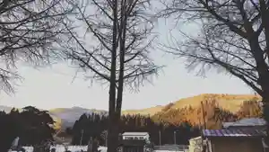 壽徳寺 じゅとくじの景色(2021年02月14日(日) 07時55分00秒投稿)