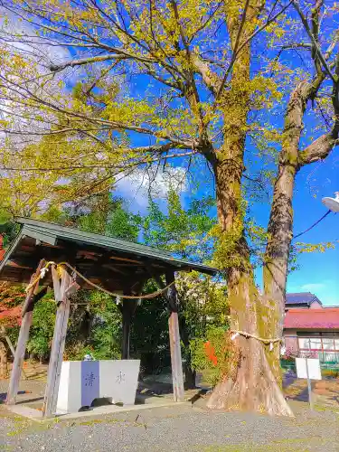 八幡社（高熊八幡社）の手水舎