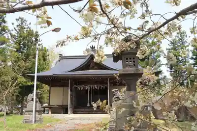 諏訪神社の本殿・本堂