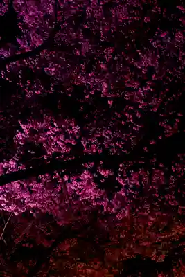 新城藤原神社(長野県)