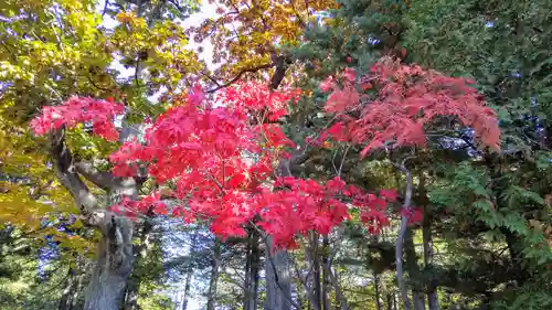 北海道神宮の自然