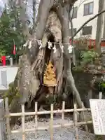 秩父今宮神社(埼玉県)