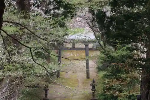 白幡八幡神社の鳥居