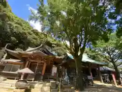 大龍寺の本殿