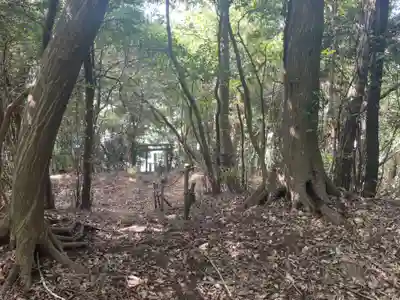 金比羅大権現(神奈川県)