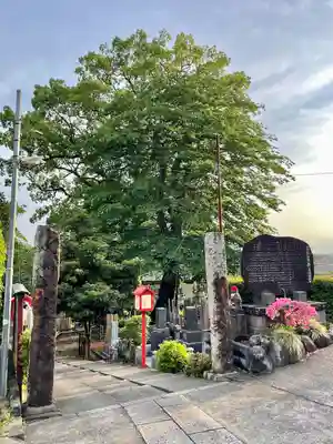 長生院(神奈川県)