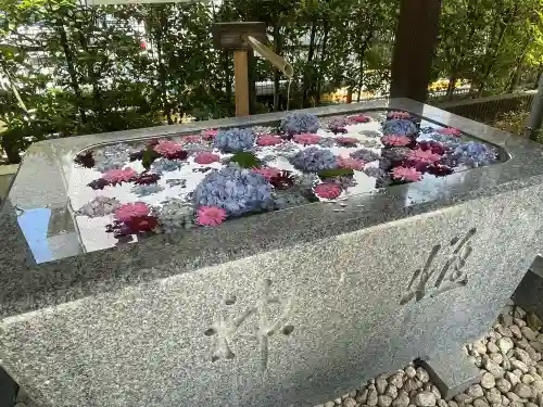 桜神宮(東京都)