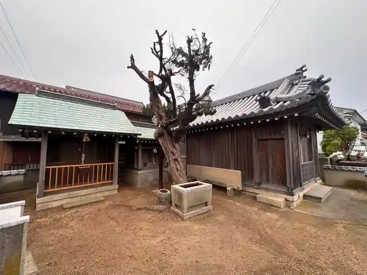 事代主神社(兵庫県)
