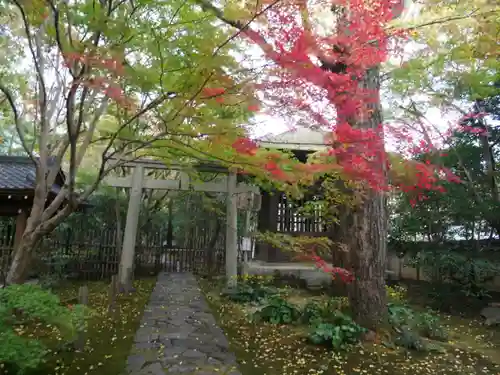 蓮華寺（洛北蓮華寺）の鳥居