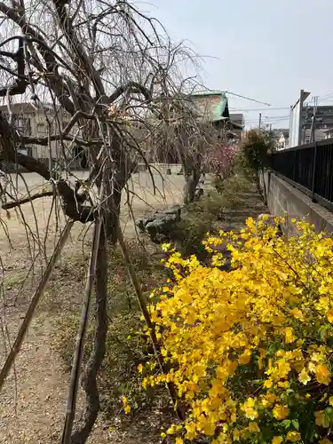 横浜熊野神社(神奈川県)