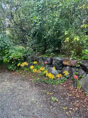 梅宮大社(京都府)