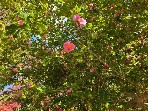 観心寺(大阪府)