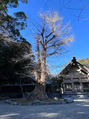 安房神社(千葉県)
