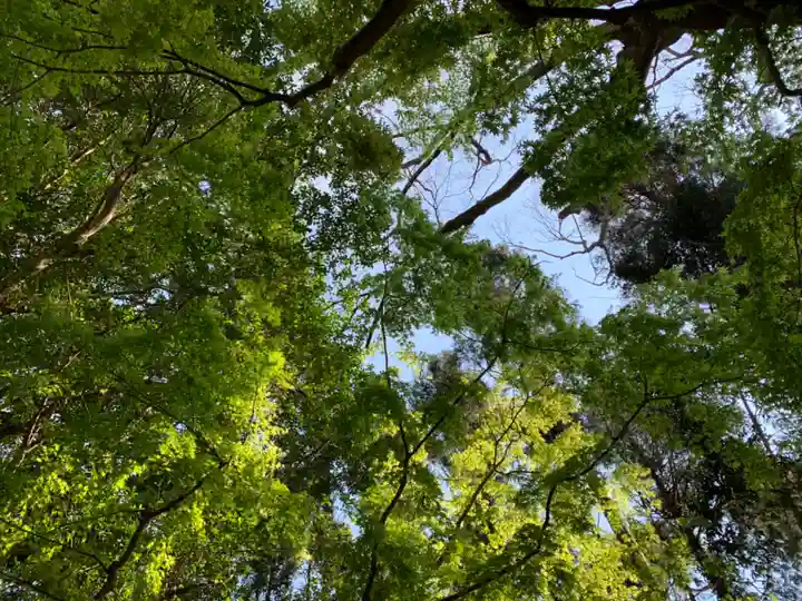 八幡神社の自然