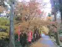 今熊野観音寺(京都府)