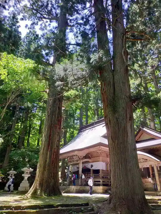 大山祇神社の本殿・本堂