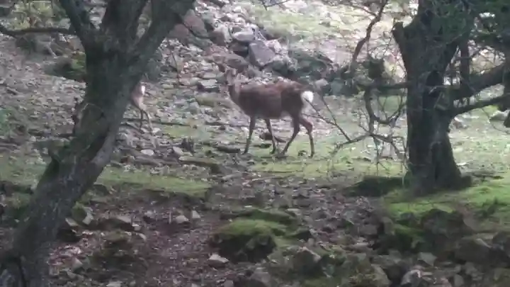 修禅寺(山口県)