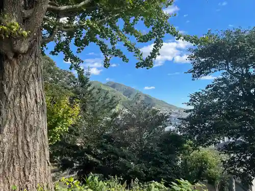 白髭神社の景色