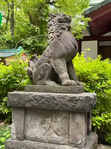 稲毛神社の狛犬