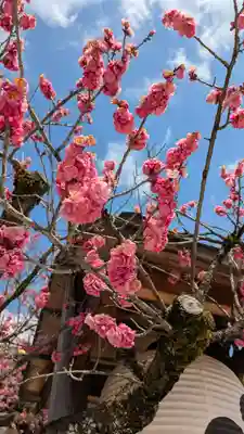 北野天満宮(京都府)