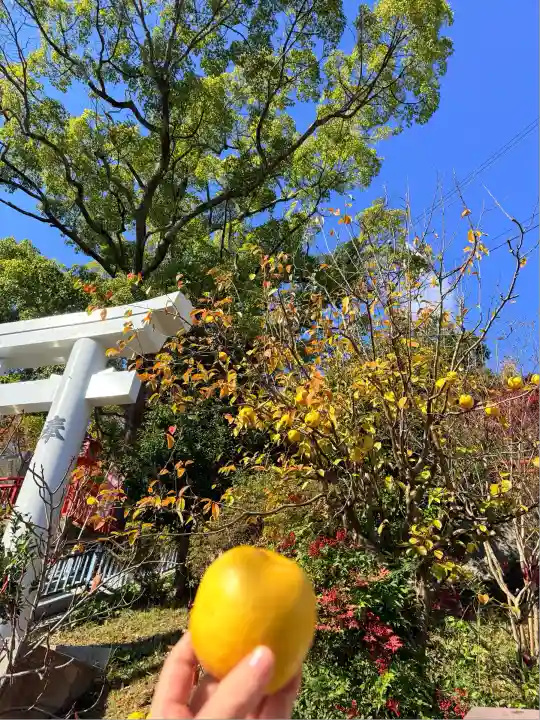 神戸水天宮(兵庫県)