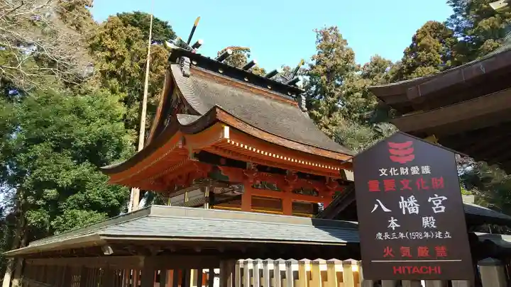 水戸八幡宮の本殿・本堂
