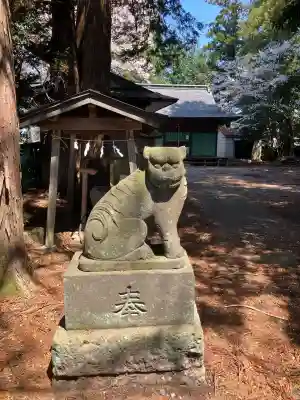 箱森新田今宮神社(栃木県)