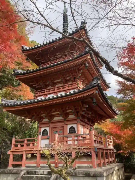 三室戸寺(京都府)
