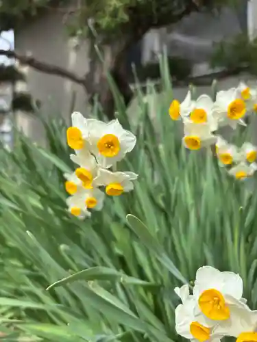 教興寺(兵庫県)