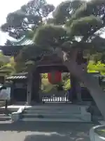 長谷寺の山門・神門