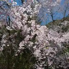 日蓮宗 総本山 塔頭 定林坊(じょうりんぼう)(山梨県)