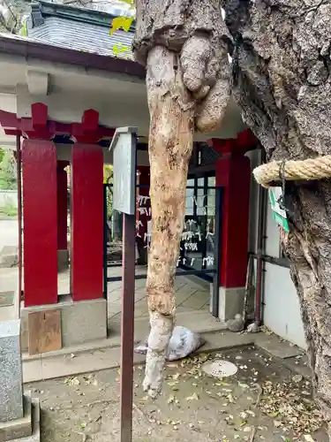 品川寺(東京都)