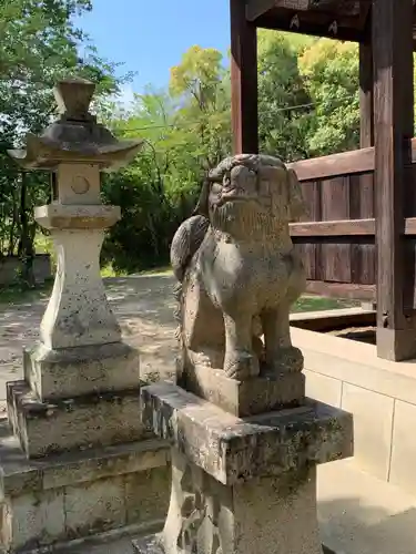白髭神社の狛犬
