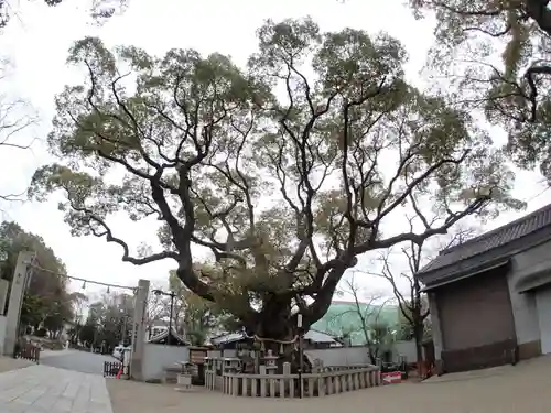 杭全神社のその他建物