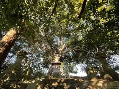 大宮皇神の自然