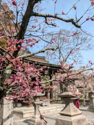 城南宮の{uncategorized: "未分類", other: "その他", undefined: "問題あり", building: "その他建物", grave: "お墓", sacred_gate: "鳥居", guardian: "狛犬", statue: "像", buddha: "仏像", history: "歴史", nature: "自然", garden: "庭園", animal: "動物", pagoda: "塔", temizu: "手水舎", mountain_gate: "山門・神門", sanctuary: "本殿・本堂", subordinate: "末社・摂社", art: "芸術", scenery: "景色", jizo: "地蔵", ema: "絵馬", goshuin: "御朱印", omikuji: "おみくじ", items: "授与品その他", amulet: "お守り", goshuincho: "御朱印帳", eats: "食事", festival: "お祭り", votive_dance: "神楽", shichigosan: "七五三参", wedding: "結婚式", experience: "体験その他", initially: "初詣", around: "周辺", anti_infection: "感染症対策"}