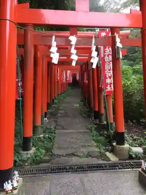 佐助稲荷神社の鳥居