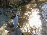 富岡八幡宮(東京都)