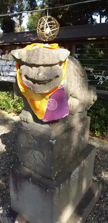 菊田神社の狛犬