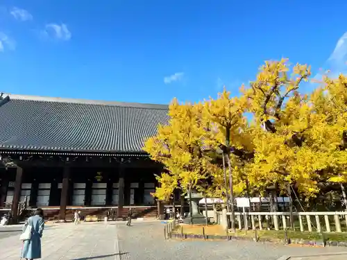 本願寺（西本願寺）(京都府)
