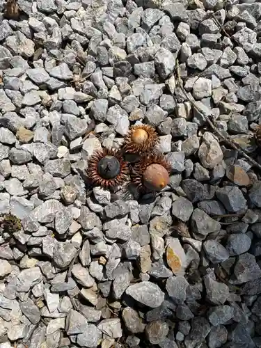 上常呂神社(北海道)