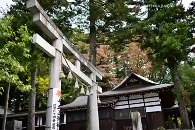 諏訪大社下社秋宮(長野県)
