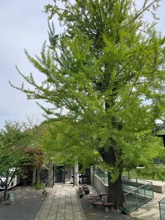浄土寺の{uncategorized: "未分類", other: "その他", undefined: "問題あり", building: "その他建物", grave: "お墓", sacred_gate: "鳥居", guardian: "狛犬", statue: "像", buddha: "仏像", history: "歴史", nature: "自然", garden: "庭園", animal: "動物", pagoda: "塔", temizu: "手水舎", mountain_gate: "山門・神門", sanctuary: "本殿・本堂", subordinate: "末社・摂社", art: "芸術", scenery: "景色", jizo: "地蔵", ema: "絵馬", goshuin: "御朱印", omikuji: "おみくじ", items: "授与品その他", amulet: "お守り", goshuincho: "御朱印帳", eats: "食事", festival: "お祭り", votive_dance: "神楽", shichigosan: "七五三参", wedding: "結婚式", experience: "体験その他", initially: "初詣", around: "周辺", anti_infection: "感染症対策"}
