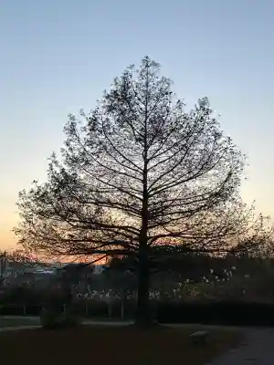 鞆江神社(明地)(愛知県)