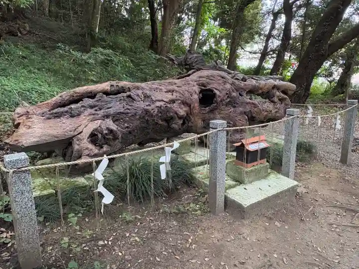 泉神社(茨城県)