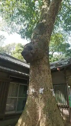 氷川女體神社の自然