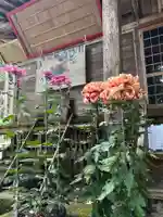 大宮温泉神社(栃木県)