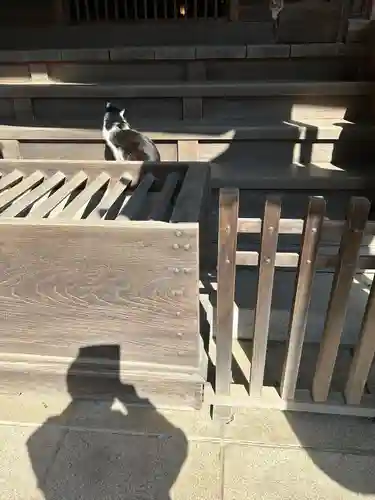 雀神社(茨城県)