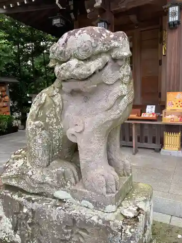 相模国総社六所神社の狛犬