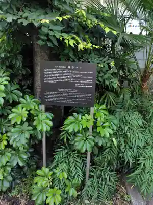 成子天神社(東京都)
